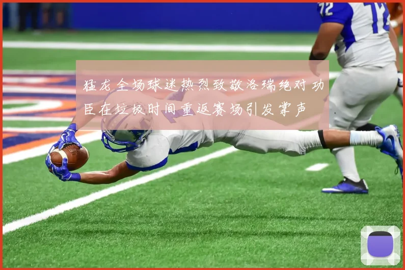 猛龙全场球迷热烈致敬洛瑞绝对功臣在垃圾时间重返赛场引发掌声