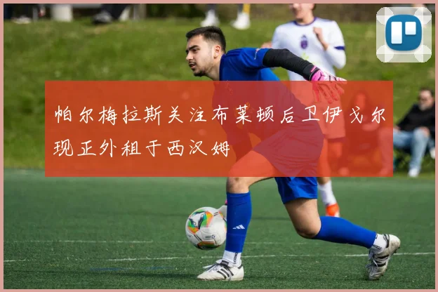 帕尔梅拉斯关注布莱顿后卫伊戈尔现正外租于西汉姆