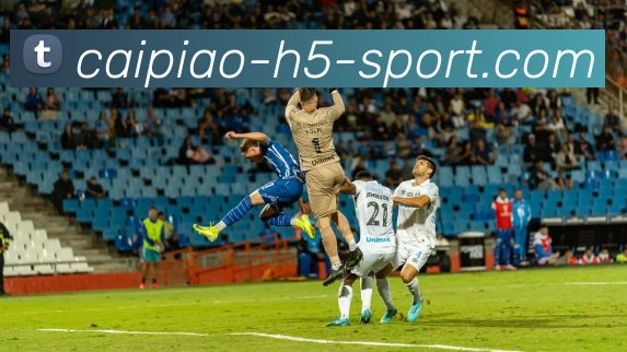 大发彩票平台生态图